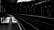 'Curved Lines' by Valerie Atkinson