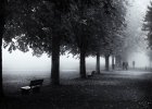 'Misty Morning' by Valerie Atkinson
