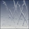 'X Trails' by Valerie Atkinson