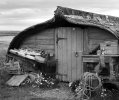 'Boat Shed' by David Carter