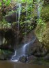 'Roughting Linn' by David Carter