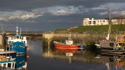 'Seahouses Harbour' by David Carter