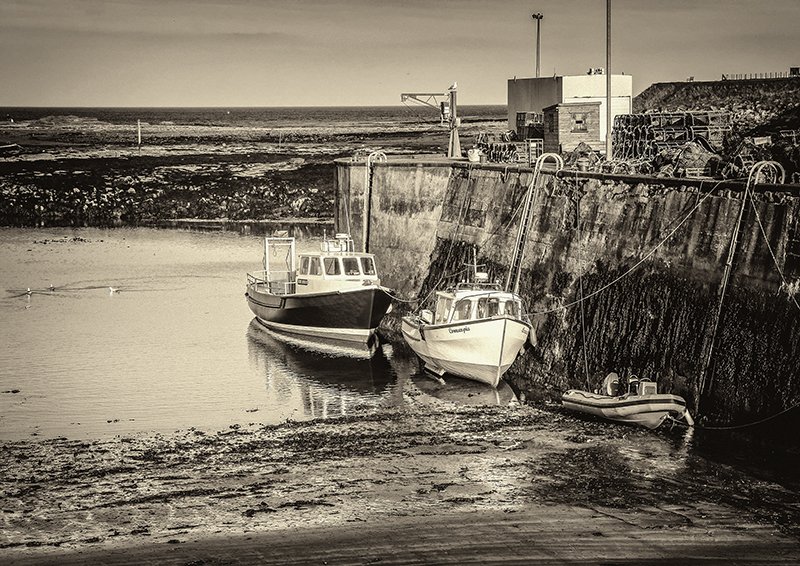 'Low Tide At Seahouses' by Carol McKay
