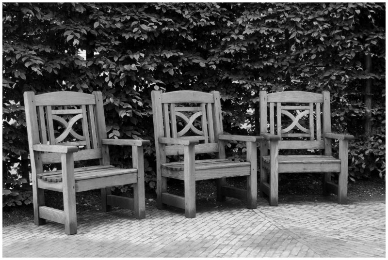 'Alnwick Garden Chairs' by Dave Dixon LRPS