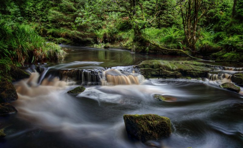 'Blakehope Burn' by Dave Dixon LRPS