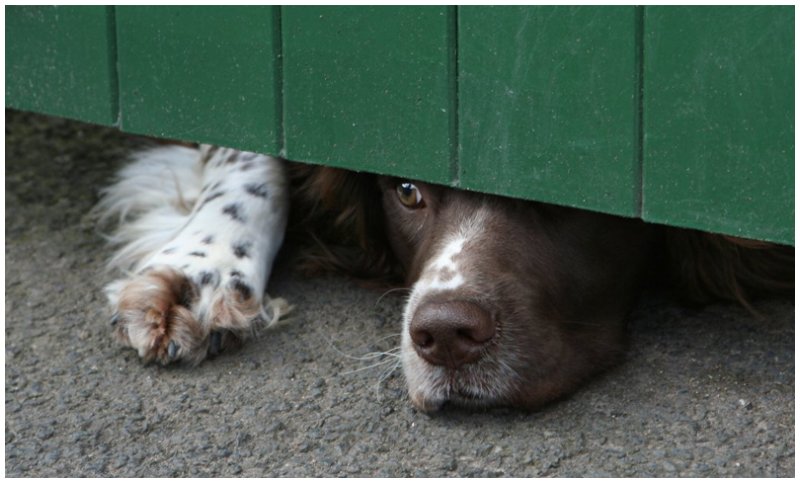 'Stop (Oh Yes) Wait A Minute, Mr Postman' by Dave Dixon LRPS