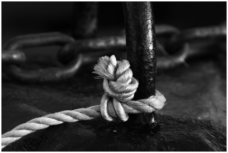 'The Ties That Bind' by Dave Dixon LRPS