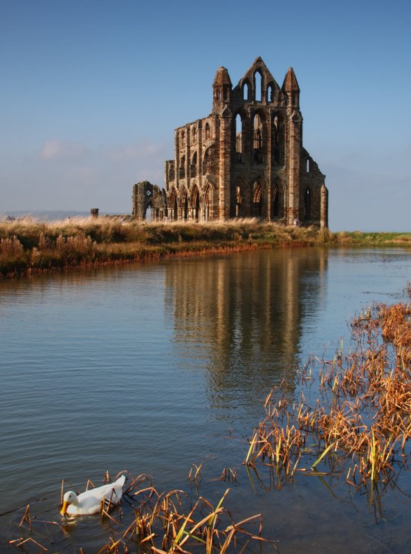 'Whitby Abbey' by Dave Dixon LRPS