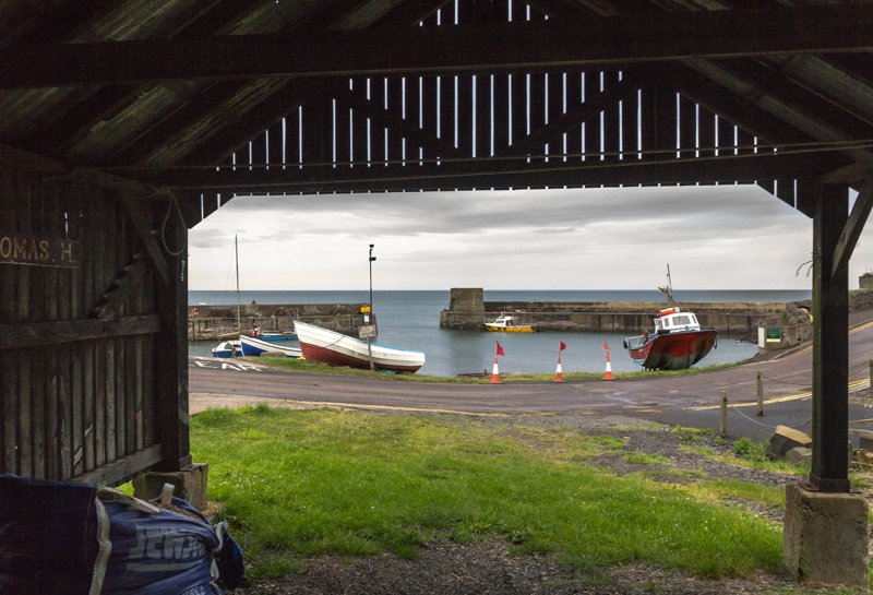 'From The Boat House' by David Carter