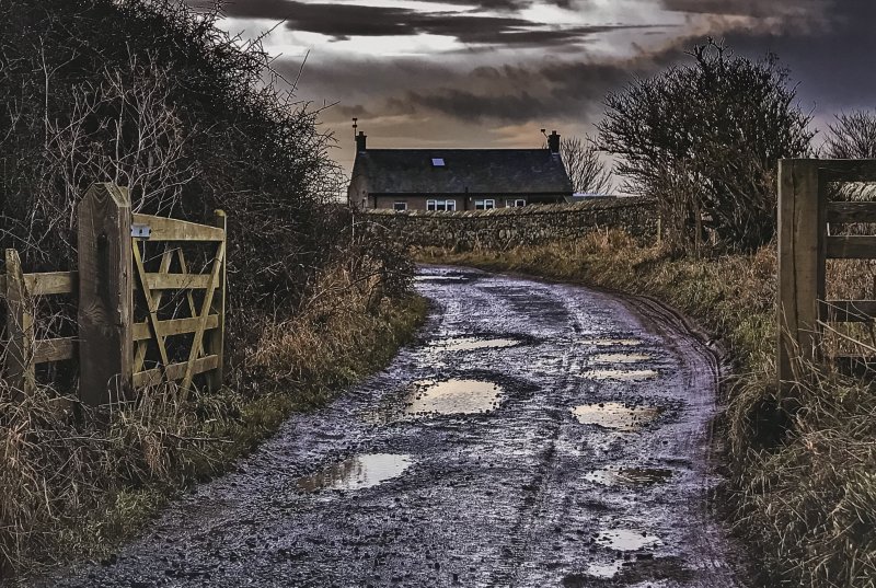 'Boulmer Steel' by Dennis Hall