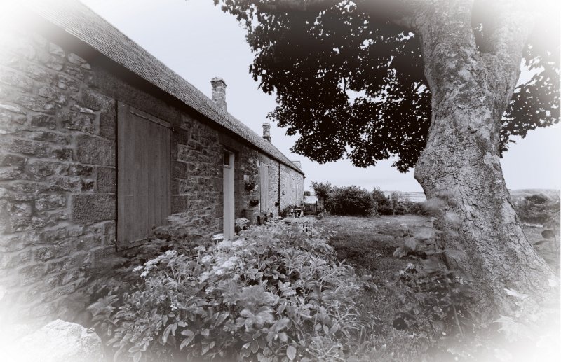 'Snook Cottage' by Gareth Shackleton