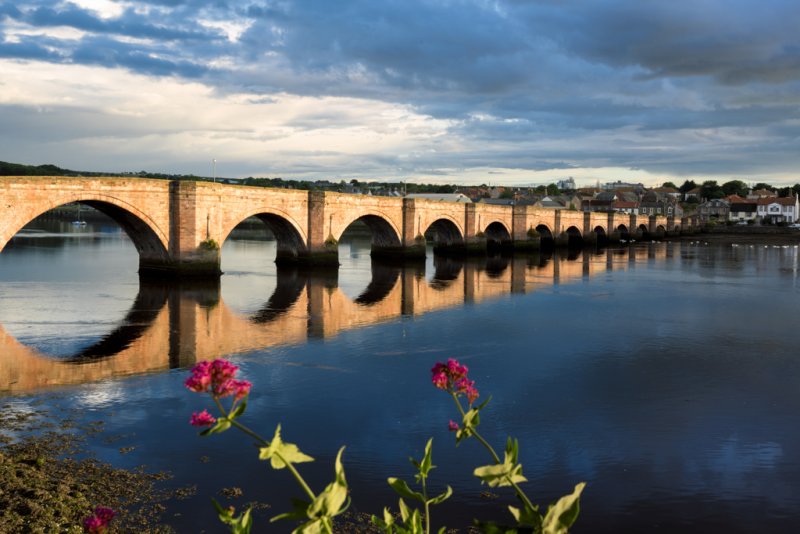 'Berwick' by Gordon Charlton