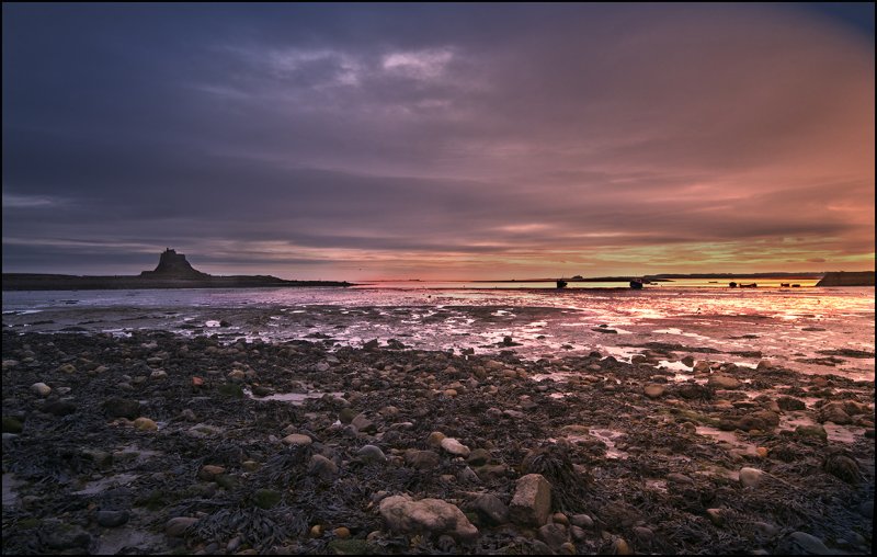 'Holy Island (1)' by Harry Wilkinson