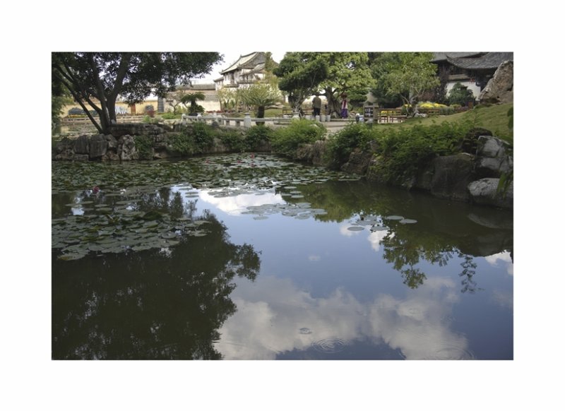 'Garden Pond' by Ian Atkinson ARPS