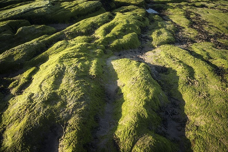 'Green Rock' by Ian Atkinson ARPS