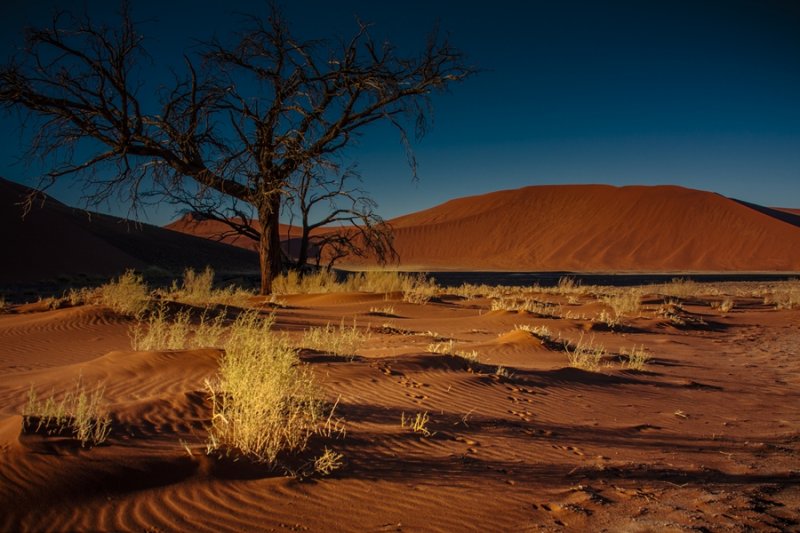 'Namibia' by Ian Atkinson ARPS