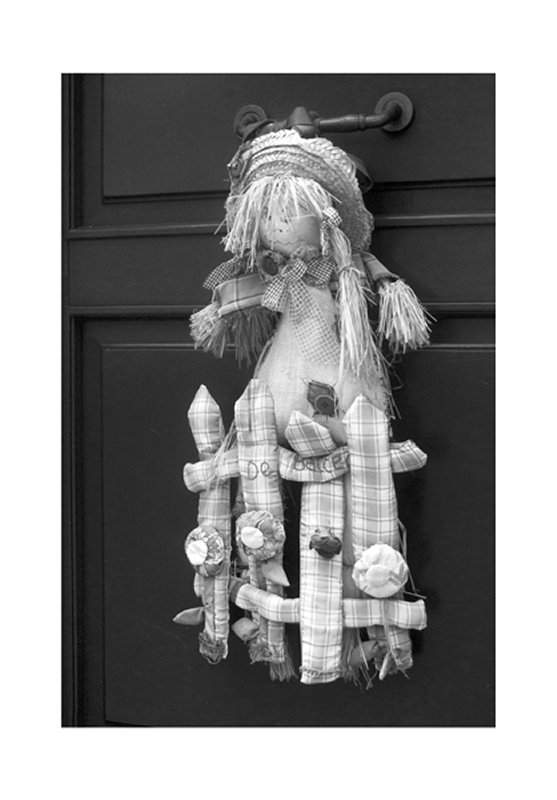 'Raggy Doll' by Ian Atkinson ARPS