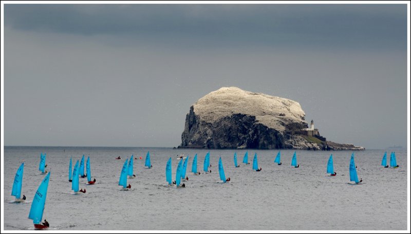 'Bass Rock Boat Race (2)' by Jane Coltman CPAGB