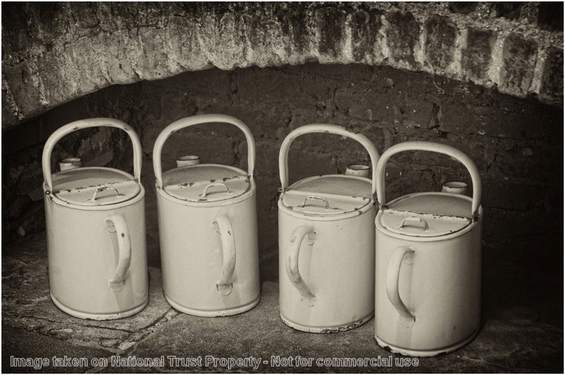 'Watering Cans' by Jane Coltman CPAGB