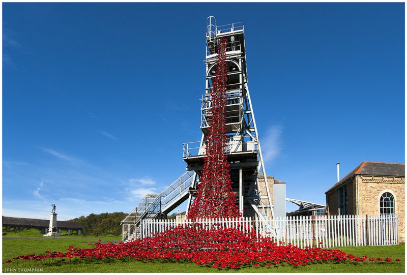 'Poppy Fall' by John Thompson ARPS EFIAP CPAGB 