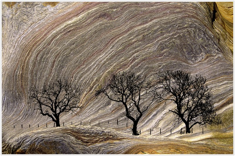 'Trees In A Rocky Landscape' by John Thompson ARPS EFIAP CPAGB 