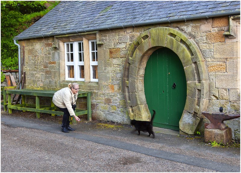 'Rosie, The Cat And The Anvil' by John Thompson ARPS EFIAP CPAGB 