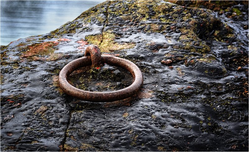 'The Mooring Ring' by Karen Broom