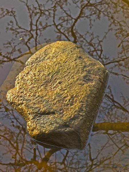 'Rock' by Peter Downs LRPS