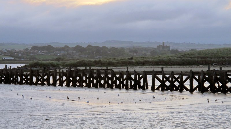 'Amble Old Pier' by Rosie Cook-Jury