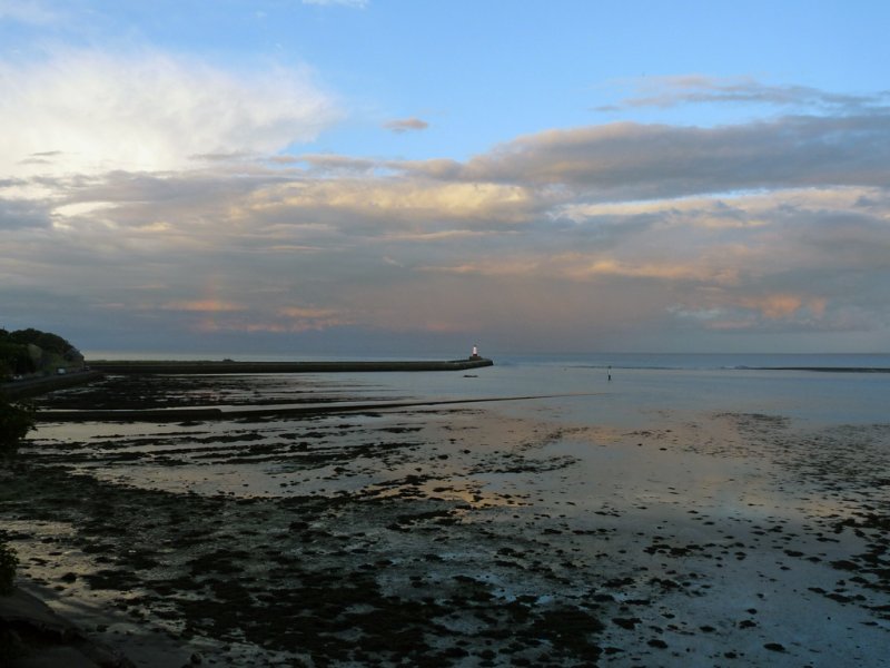 'Berwick Pier' by Rosie Cook-Jury