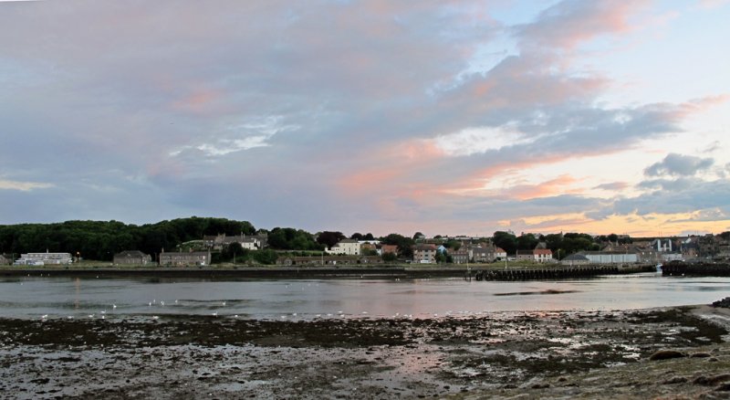 'Looking Across The Tweed' by Rosie Cook-Jury