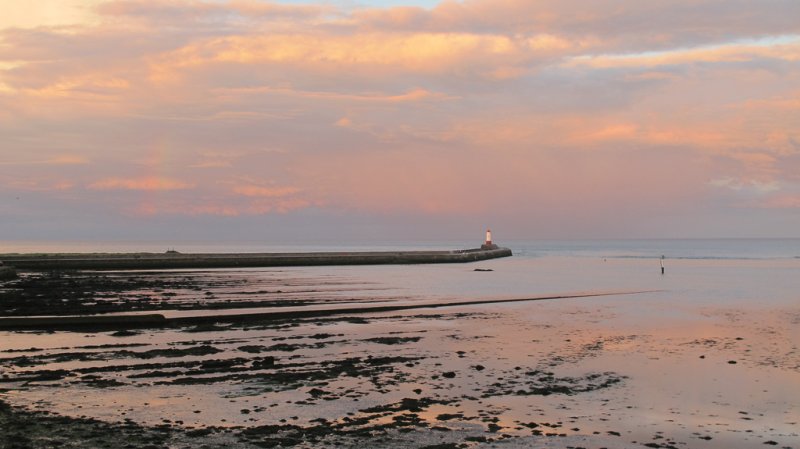 'Pink Sky At Night Shepherd's Delight' by Rosie Cook-Jury