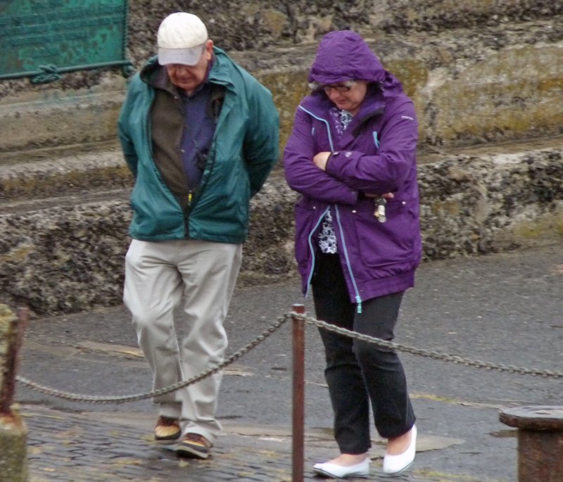 'Wet Night For A Walk' by Rosie Cook-Jury