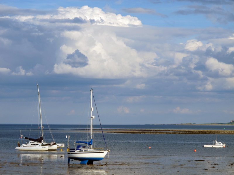 'Yachts On Holy Island' by Rosie Cook-Jury