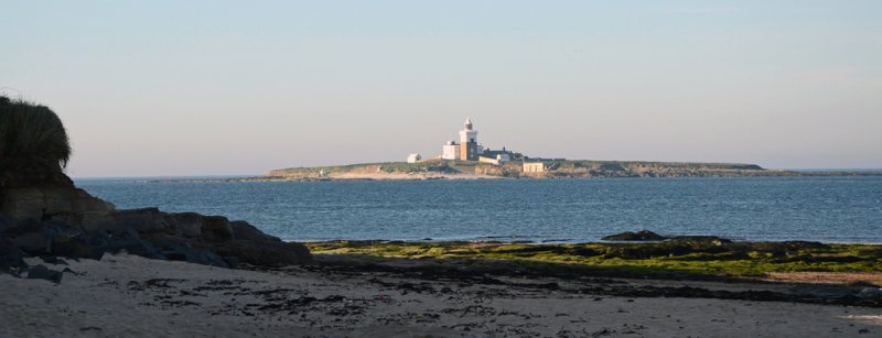 'Coquet Island' by Tom Dundas