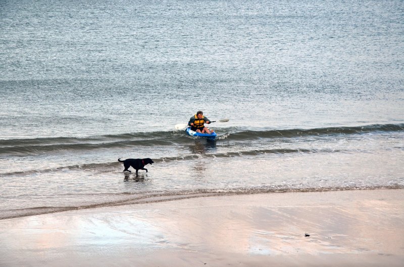 'Druridge Canoeist And Sea Dog' by Tom Dundas