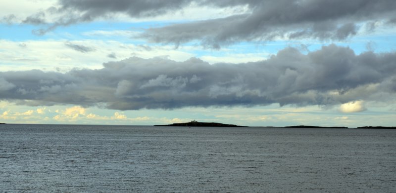 'Farne Islands' by Tom Dundas