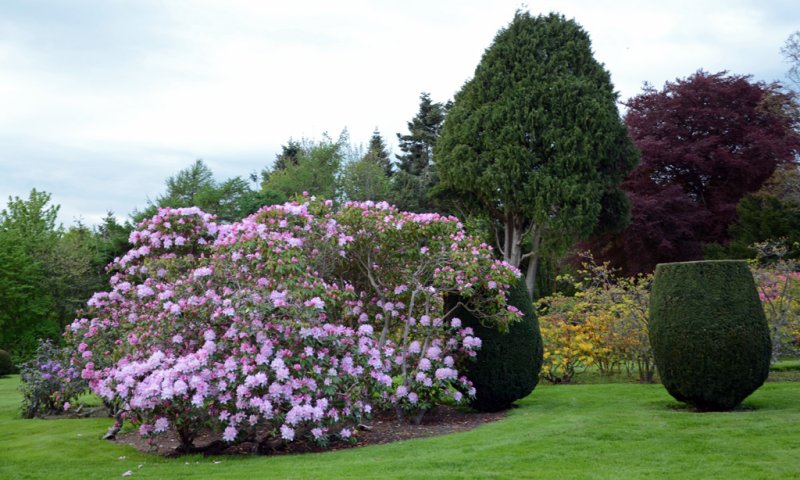 'Ford Gardens' by Tom Dundas