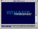 Minibrowser