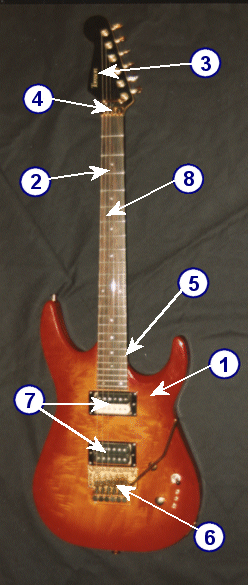 Anatomy of an Electric Guitar
