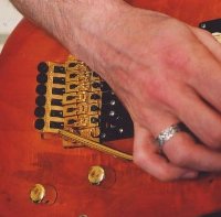 The Tremolo or Whammy Bar